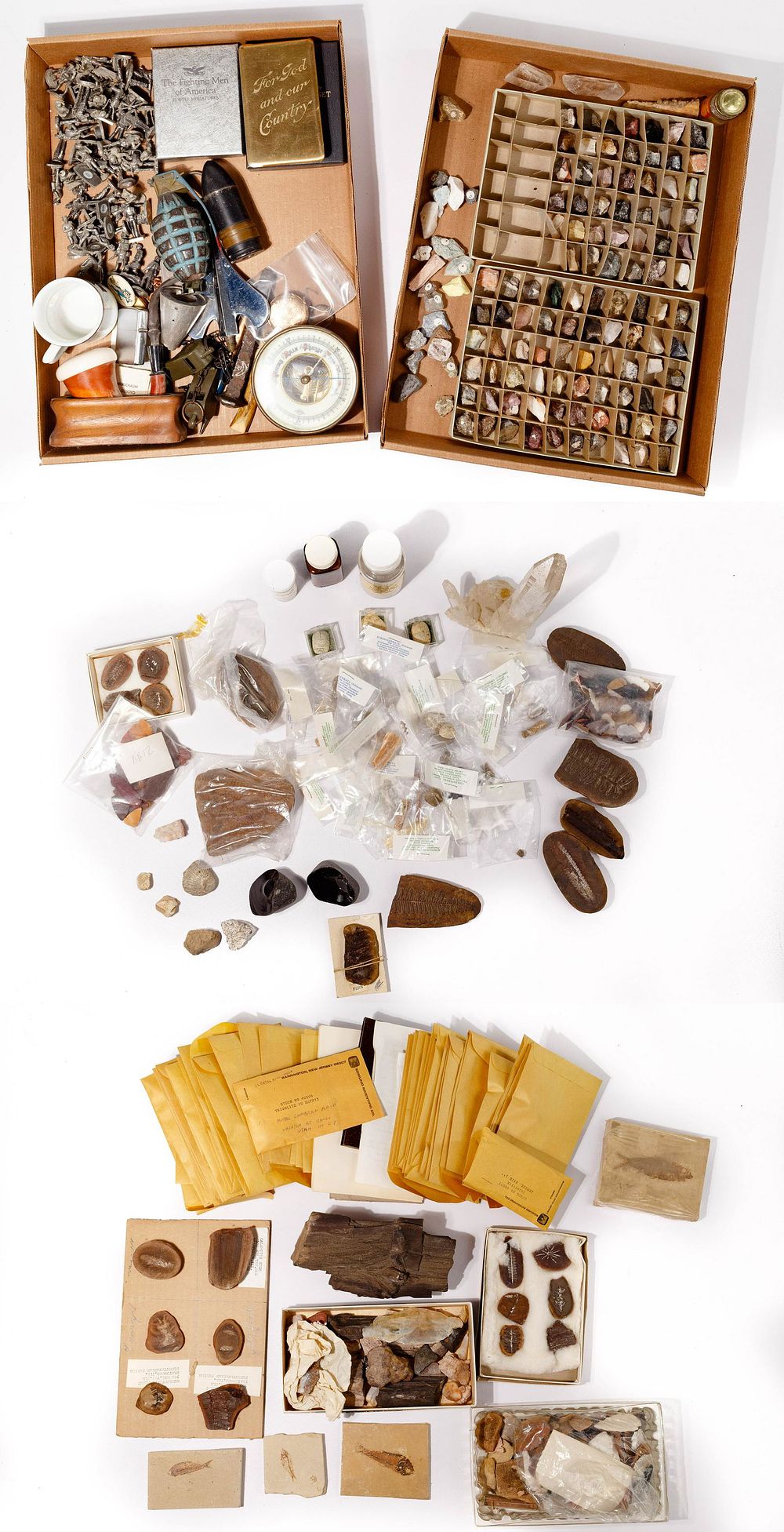 Lot 186: Fossil, Shell and War Relic Assortment