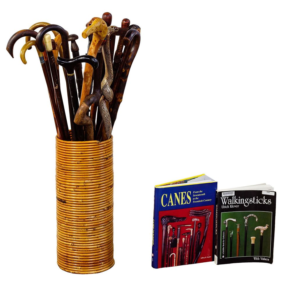 Lot 523: Cane and Walking Stick Assortment