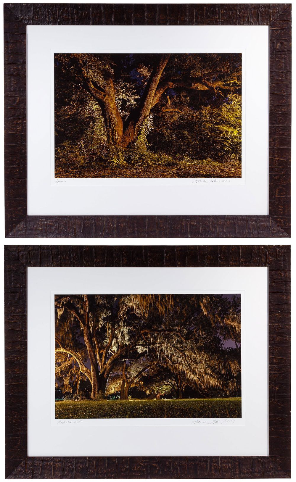 Lot 519: Frank Relle (American, b.1976) 'Nightshade' Series