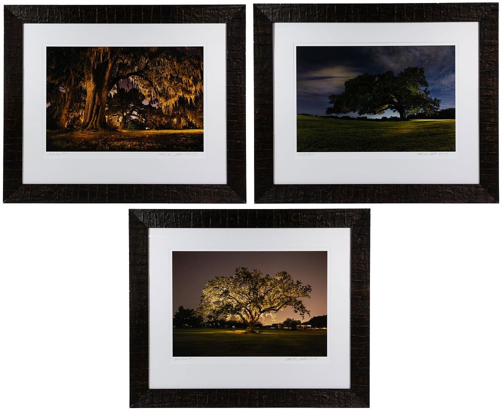 Lot 530: Frank Relle (American, b.1976) 'Nightshade' Series