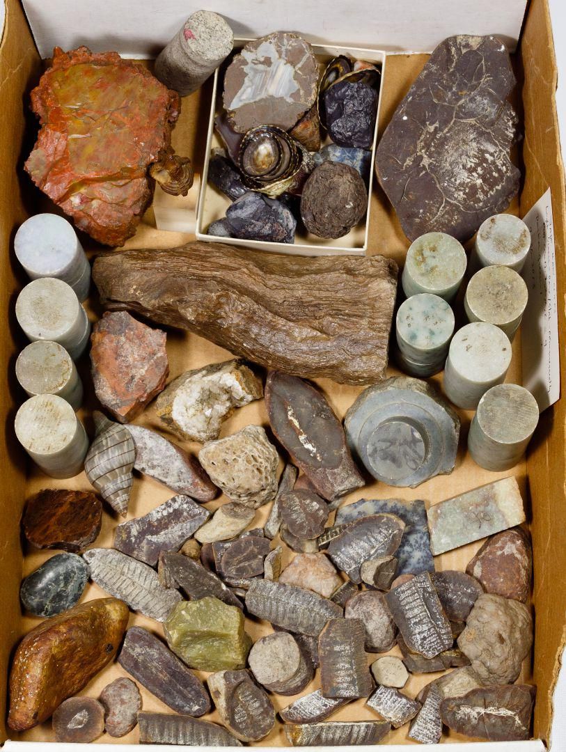 Lot 302: Jadeite Jade, Pottery, Fossil and Shell Assortment