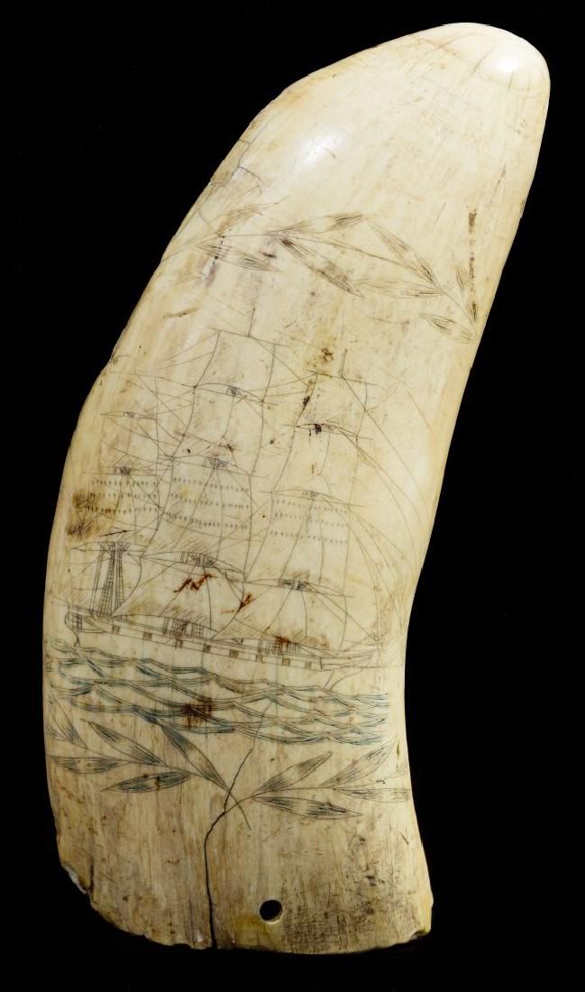 Lot 160: Whale Tooth Scrimshaw Carving