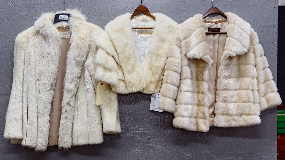 Lot 241: Mink Fur Jacket and Stole