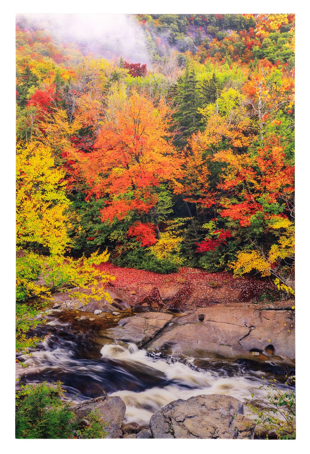 Lot 394: Peter Lik (Australian / American, b.1959) 'Swift River Mist' Silver Halide Print