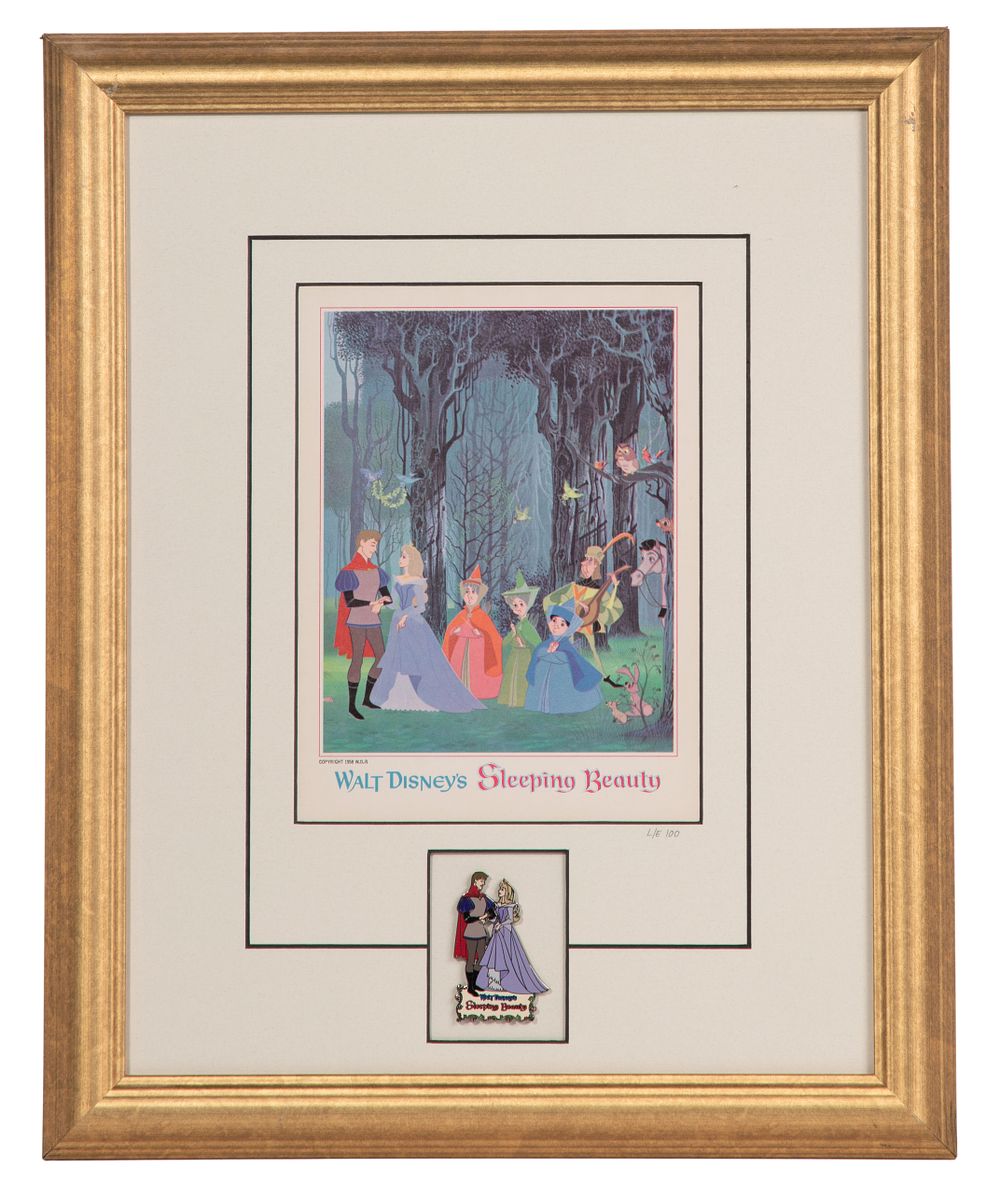 Lot 260: Disney 'Sleeping Beauty' Framed Limited Edition Pin