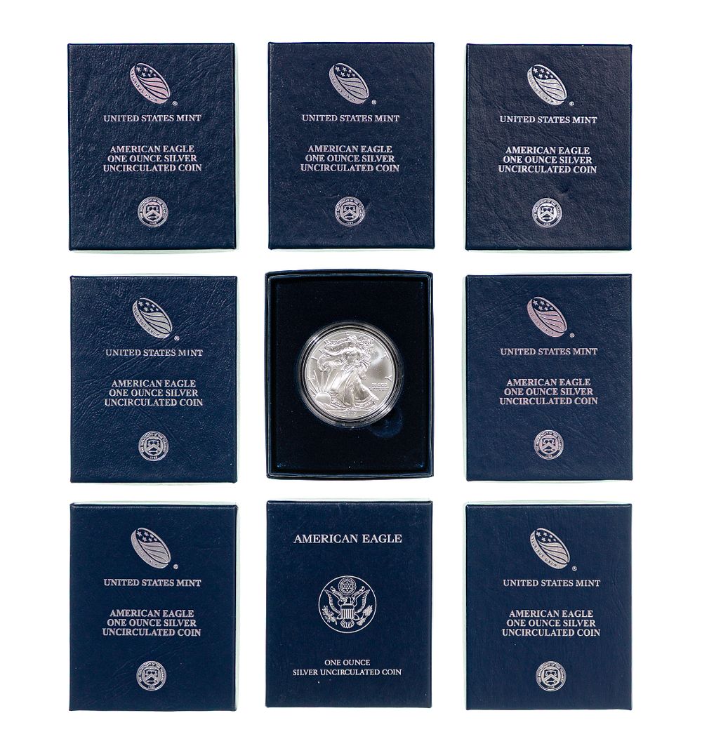 Lot 260: Silver Eagle Uncirculated Collection