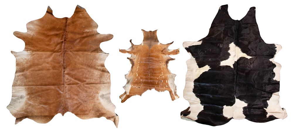 Lot 292: Cow and Deer Pelt Assortment