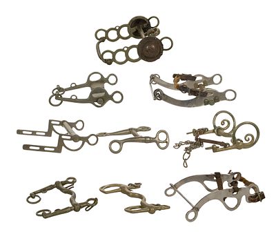 Bridle Bit Assortment (9) items including a 'Sil-Tip MFG' nickel finish, (2) white metal 'Never 