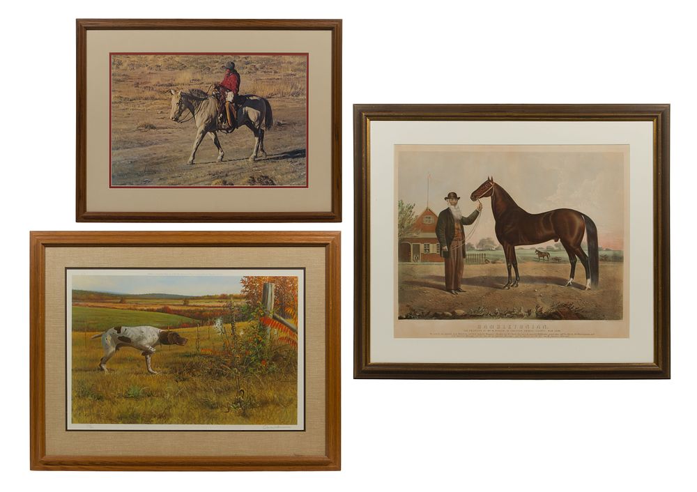 Lot 294: Framed Animal Offset Lithographs