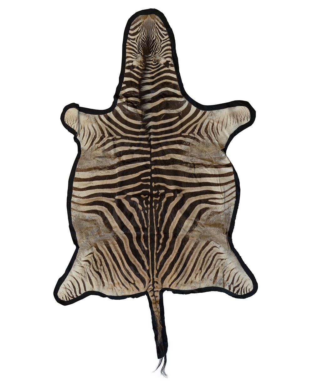 Lot 268: Zebra Pelt