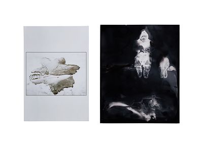 20th Century Photographs (2) items including the larger 'Untitled' pencil signed and dated 1990 