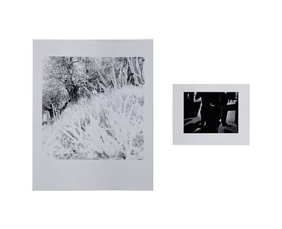 Ray Metzker - Ray Metzker (American, 1931-2014) Photographs (2) items including a close-up of 