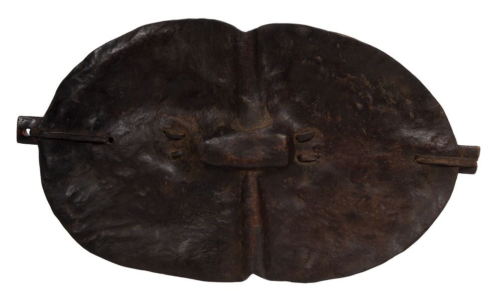 Lot 494: African Buffalo Hide Shield