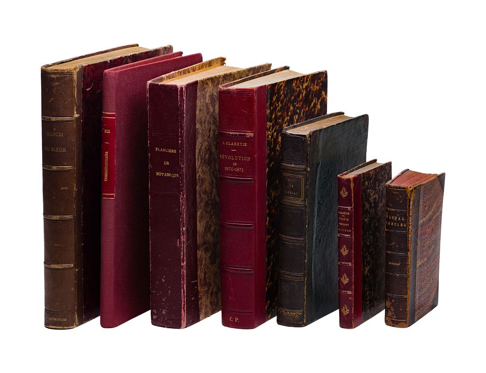 Lot 385: French Book Assortment