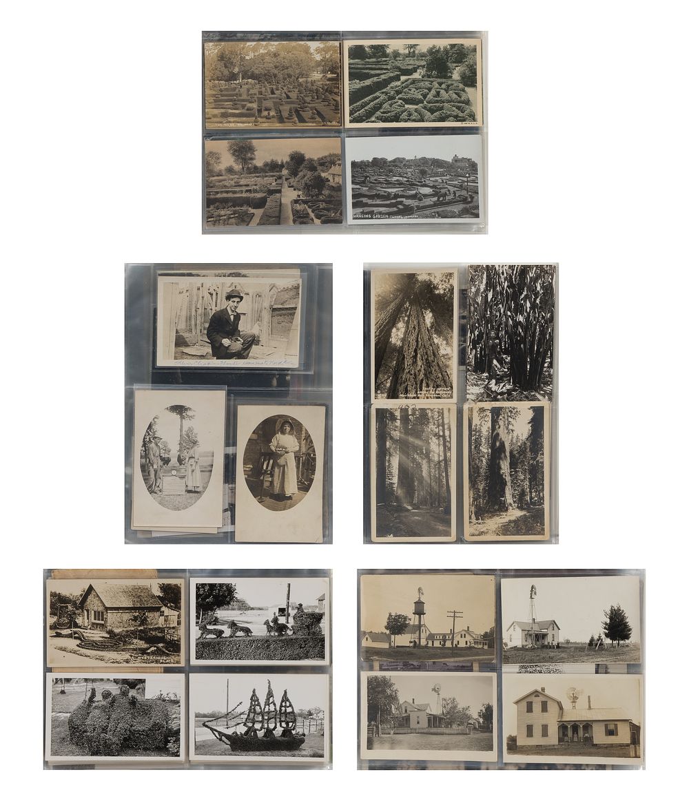 Lot 427: Botanical, Topiary and Agriculture Photographic Assortment