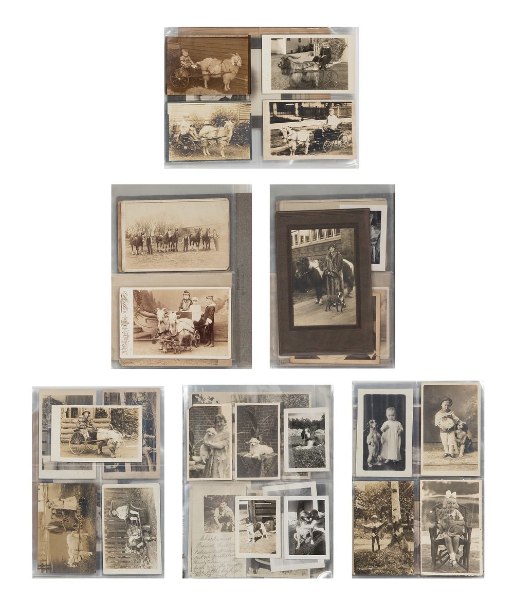 Lot 470: Children, Pet and Animal Photographic Assortment