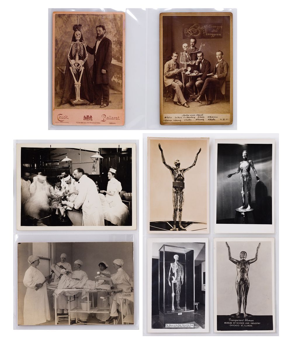 Lot 507: Medical and Body of Science Photographic Assortment