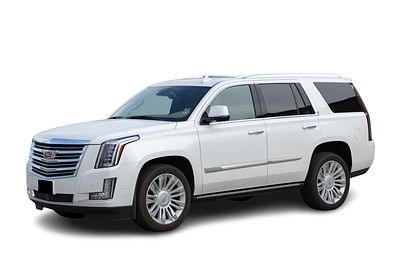Cadillac - 2020 Cadillac Escalade Sport Utility Vehicle VIN # 1GYS4DKJXLR225109, odometer reads 6 