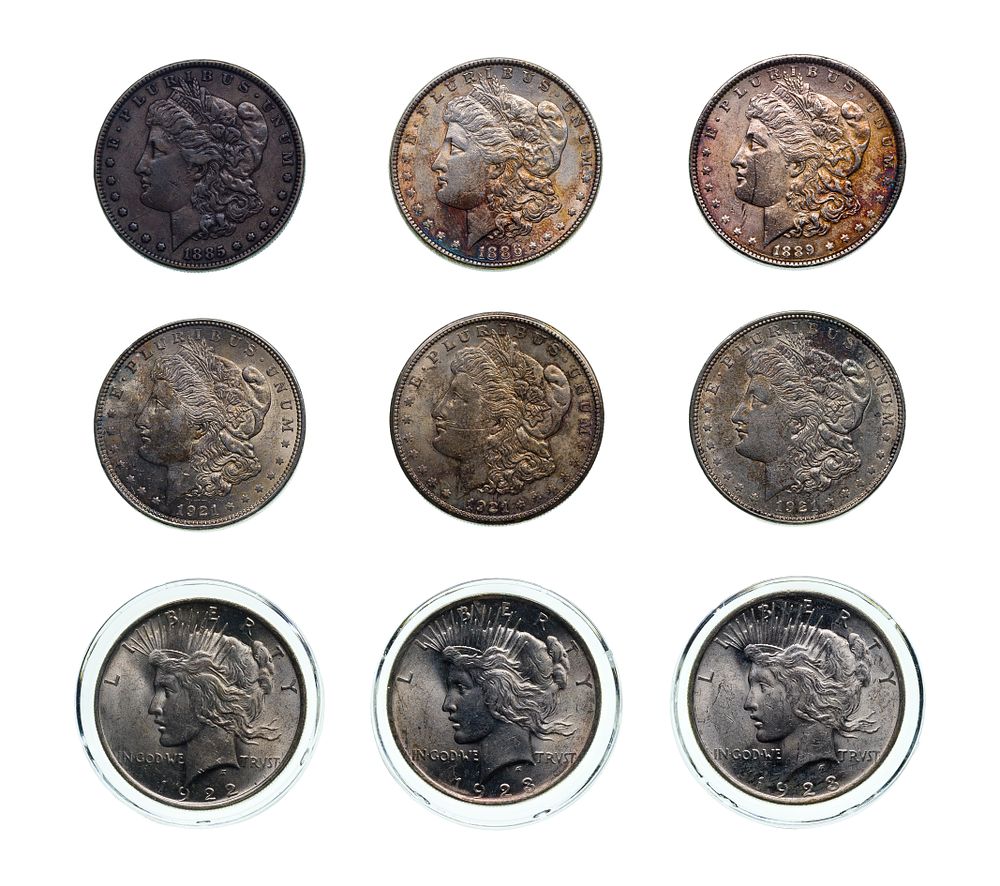Lot 421: Morgan and Peace $1 Assortment