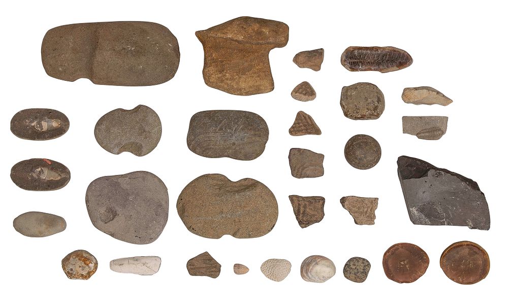 Lot 266: Fossil and Stone Assortment
