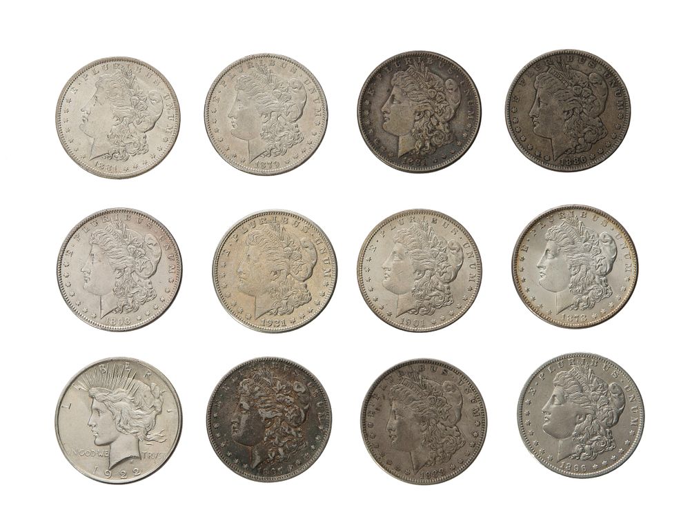 Lot 494: Morgan $1 Assortment