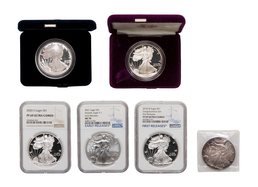 Lot 500: American Eagle $1 Assortment