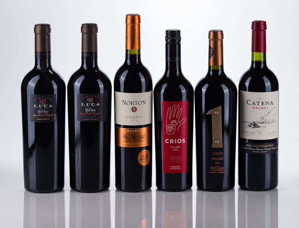 Lot 256: Argentinian Mixed Wines