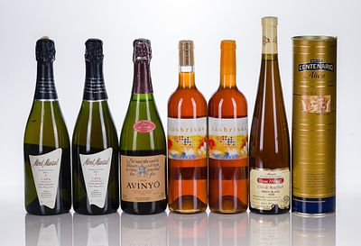 Wine Assortment (7) total items including Mont Marcal Cava Brut Reserva (2x 750 ml), bottle of 