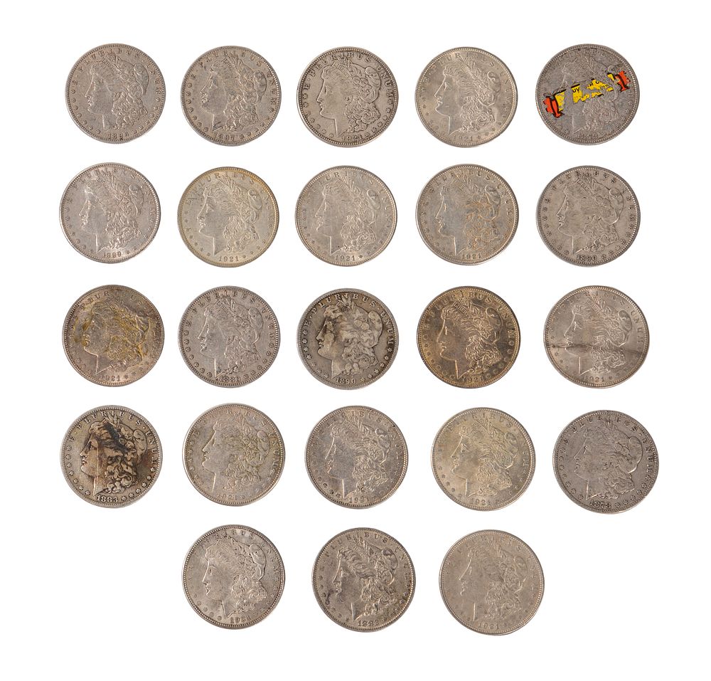 Lot 482: Morgan $1 Assortment