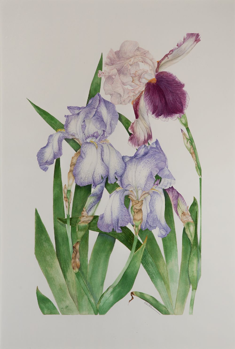 Lot 151: Pam Kessler (American, b.1948) Watercolor