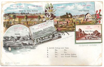 Postcard Published by Zvi Kadesh, Jerusalem. Postcard with illustrated views of Jewish colonies 