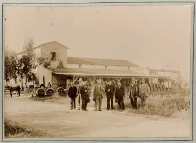 Photo Album - German Colonies in Palestine - 1904. Album with 49 photographs, composed by German 
