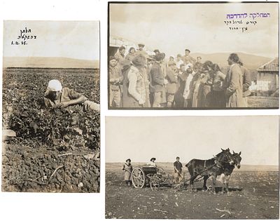 3 Early Photos of Ein Harod, Palestine. Collection of 3 photographs documenting the agricultural 