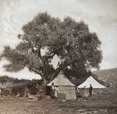 Collection of 48 Photo Slides - Palestine, 19th Century. A collection of 48 glass slides 