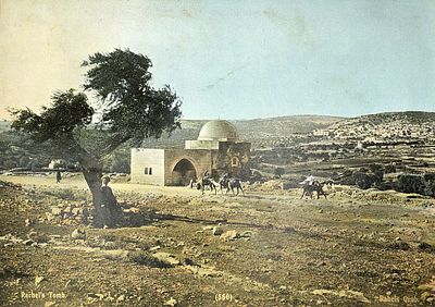 Photo Album - Jerusalem & Palestine - 19th Century. Photographs and Flowers of the Holy Land. 
