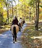 Trail ride for Two? Yes Please! Ready to saddle your horse and ride off down the trail? . Choose 