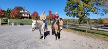 Trail ride for Two? Yes Please! Ready to saddle your horse and ride off down the trail? . Choose Image - 1