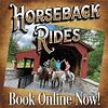 Trail ride for Two? Yes Please! Ready to saddle your horse and ride off down the trail? . Choose Image - 3