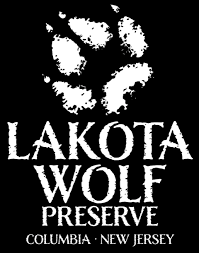 You will have a howling good time!. with 4 Adult admissions to a Wolf Watch tour at Lakota Wolf 