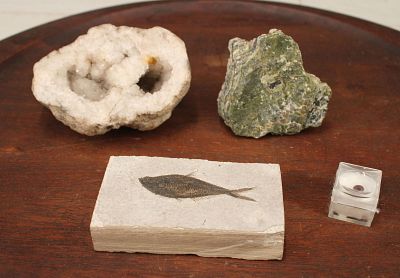 Minerals and Fossil Specimens Collection. Including a geodes, amber specimen with insect 