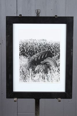 Vintage Cornfield Photo. Size: Framed: 21" H x 17" W x 1" D; Sight: 11" H x 14" W Condition: 
