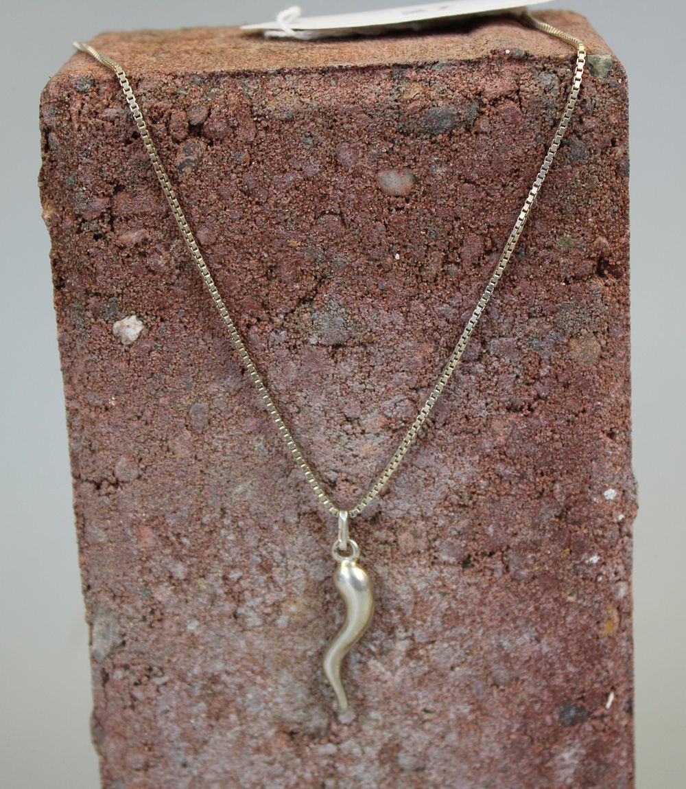 Silver Horn of Plenty Necklace