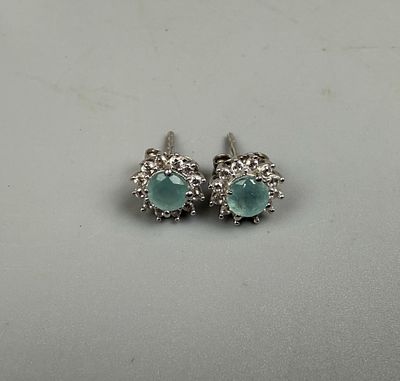 Pair of Silver Stone Set Earrings