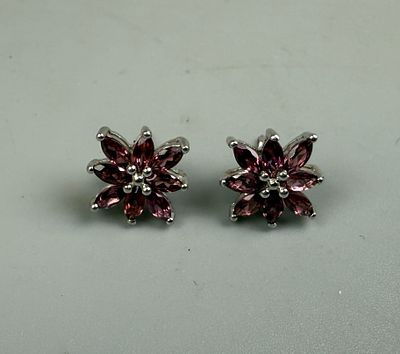 Silver Pair of Amethyst Set Earrings