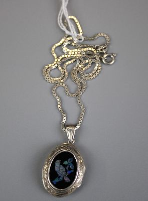 Silver Abalone Shell Bird Detail Locket on Silver Chain