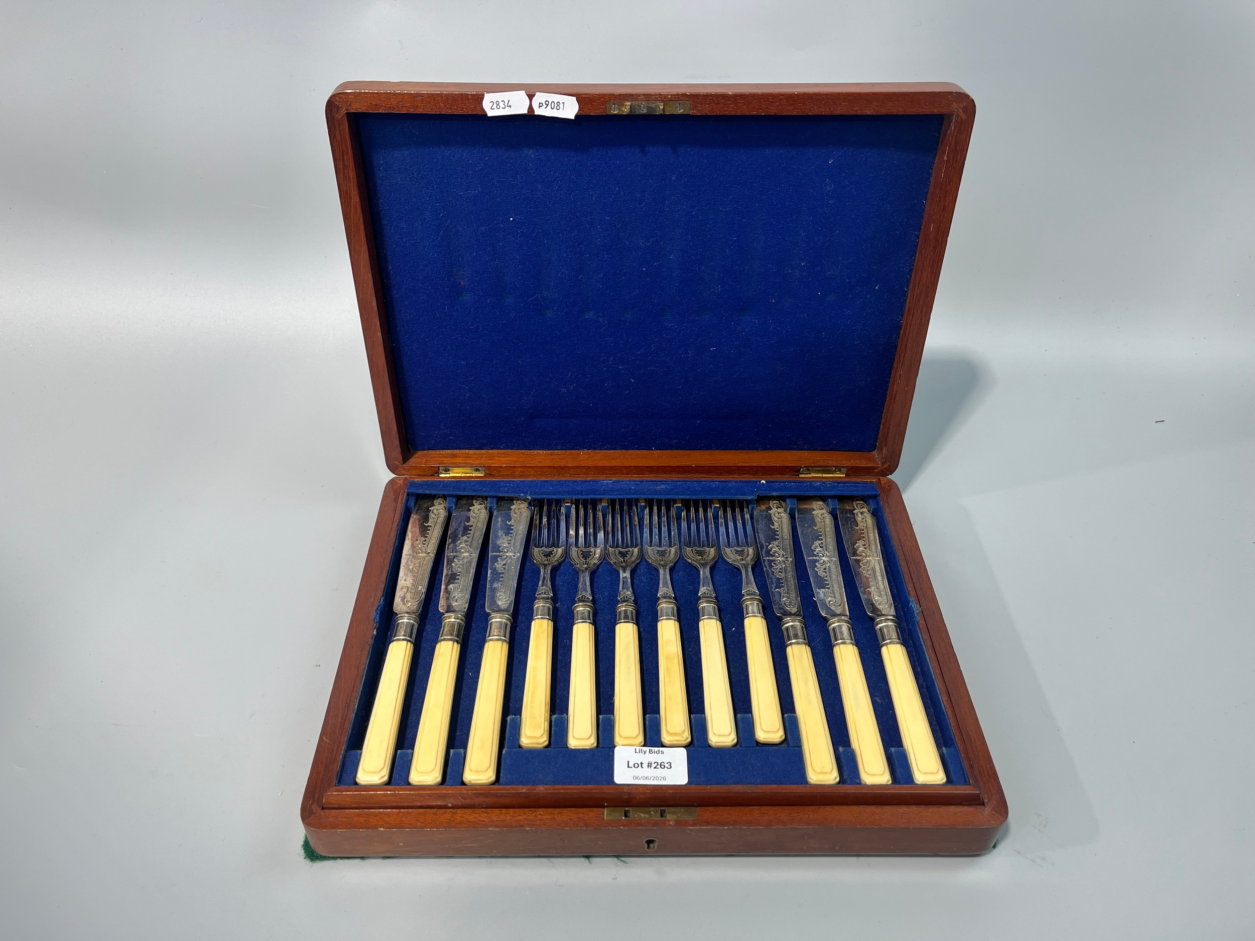 Lot 263