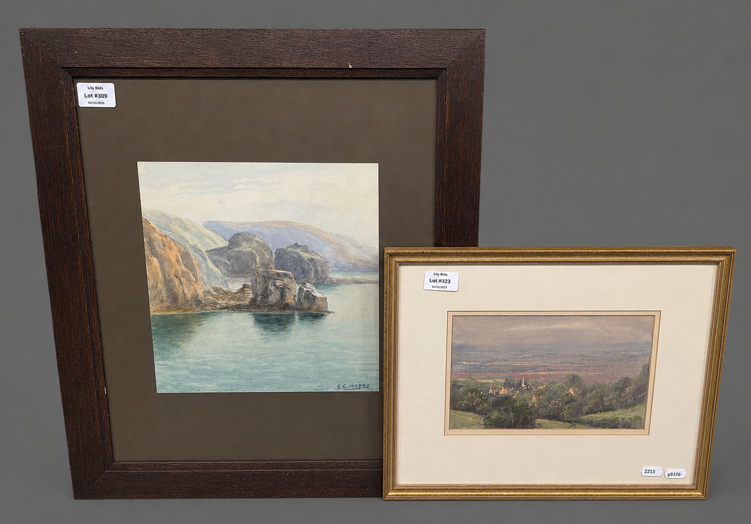 Lot 323