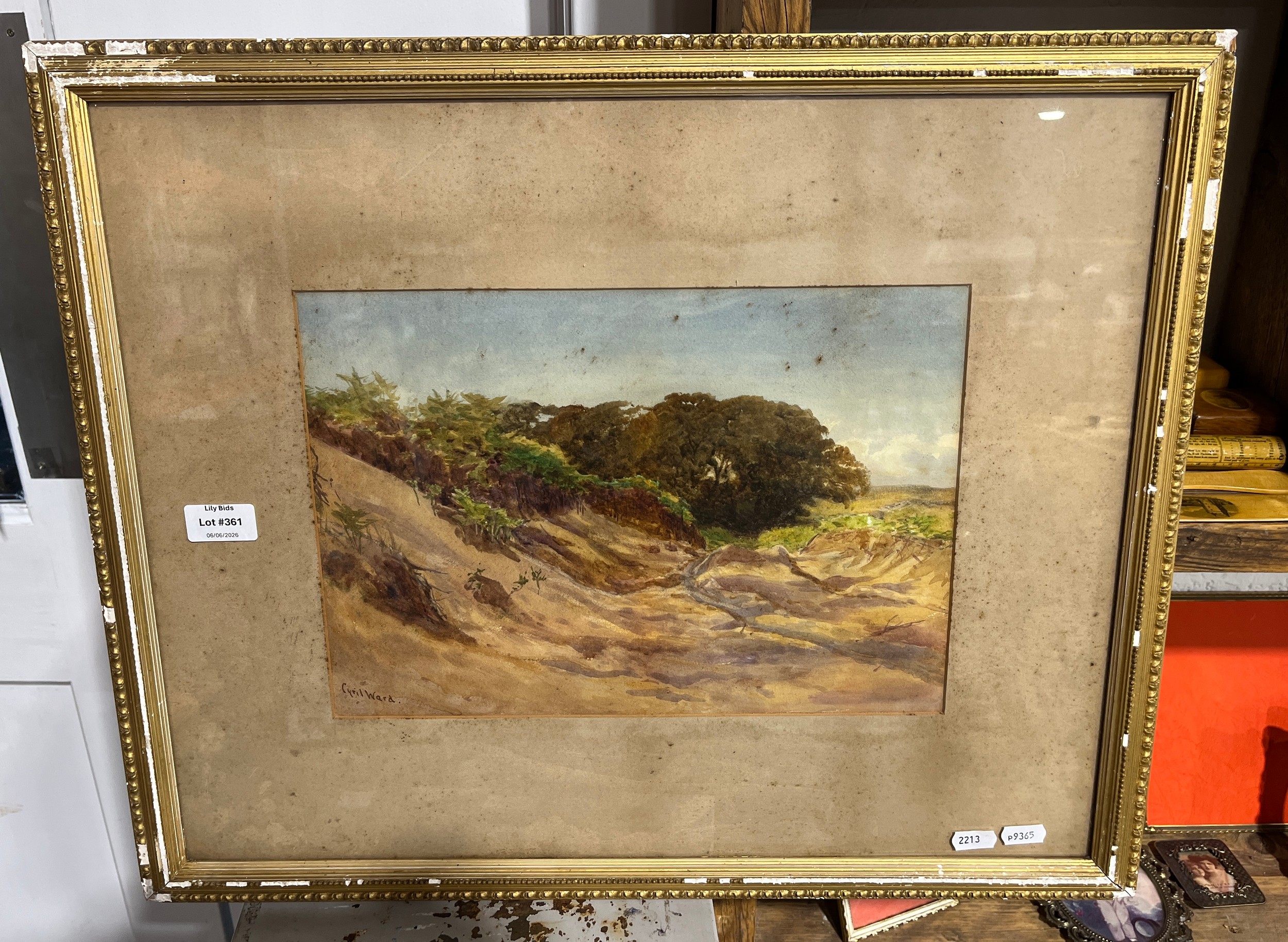 Lot 361