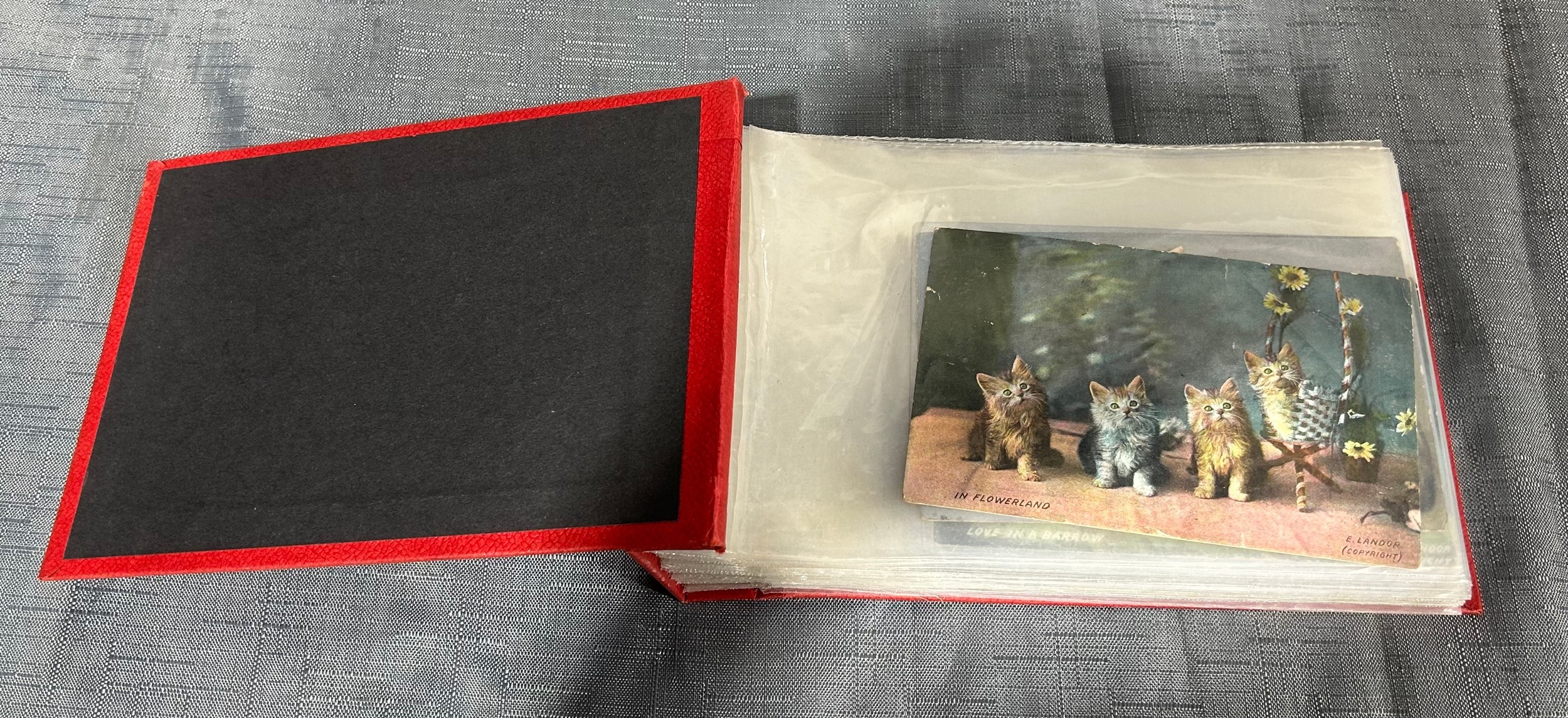Lot 436