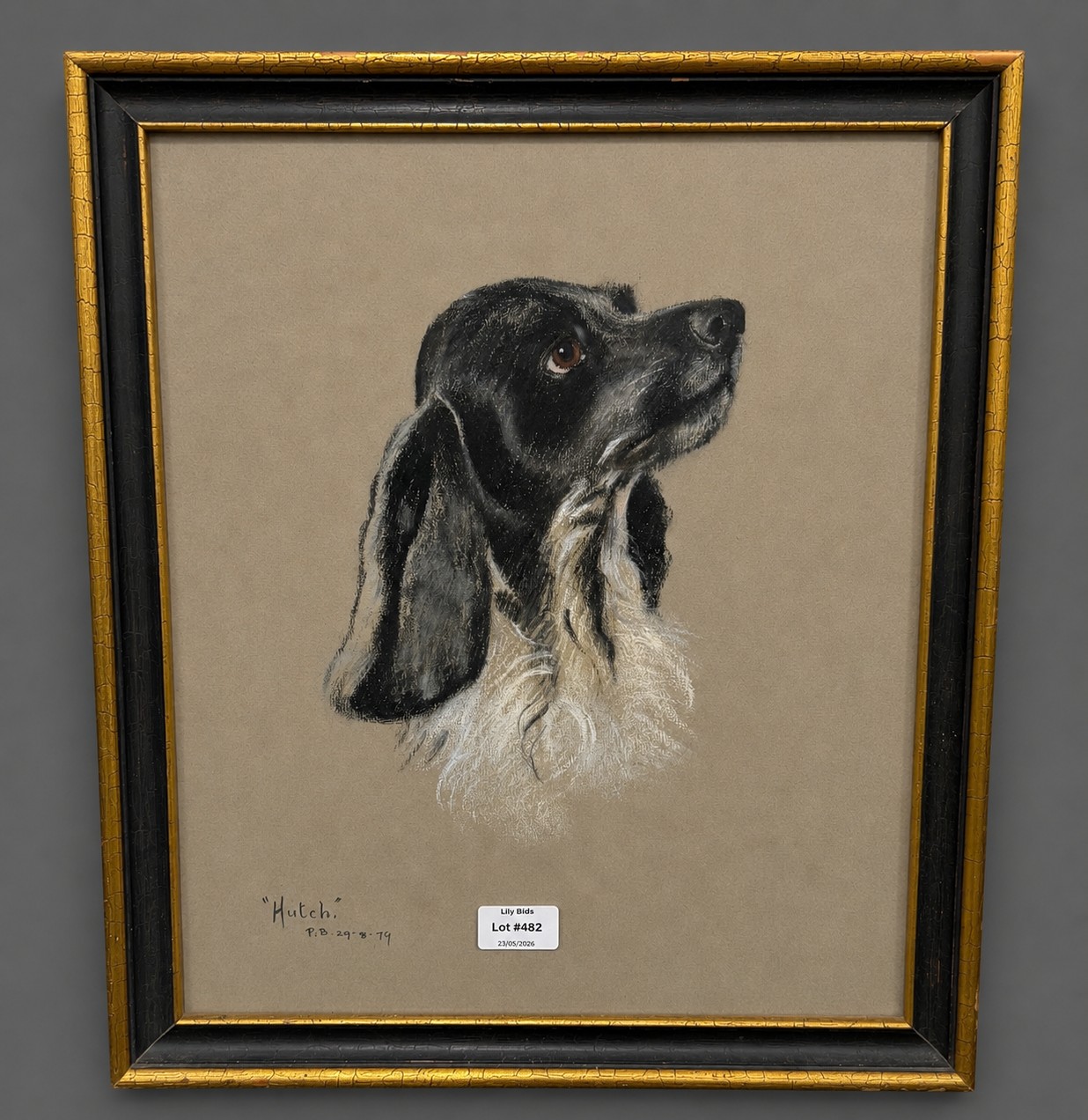 Lot 560